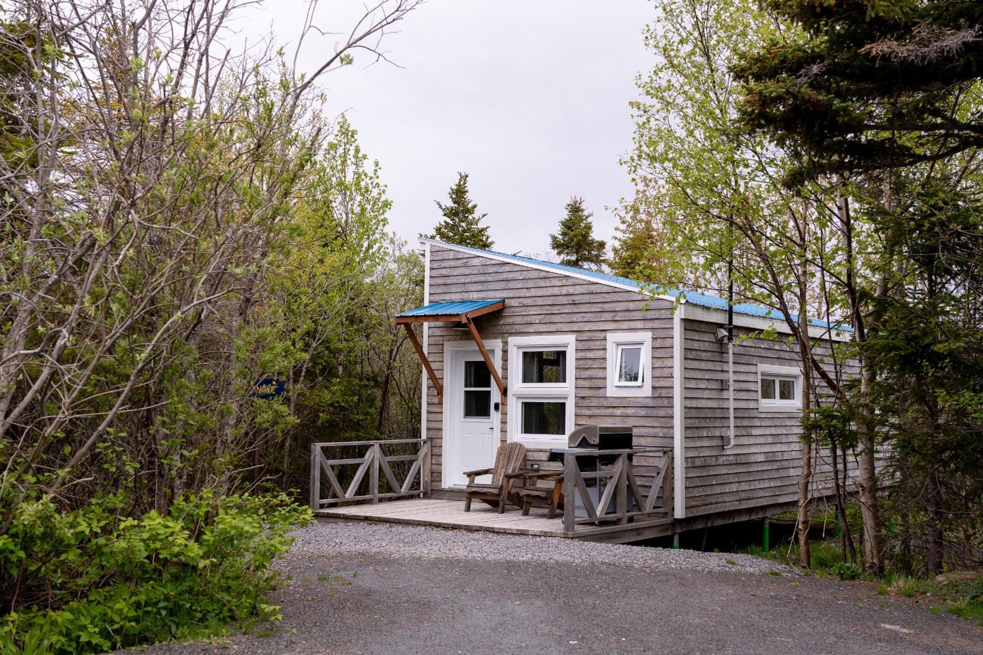 Auberge/chalet Griffon Aventure Hostel