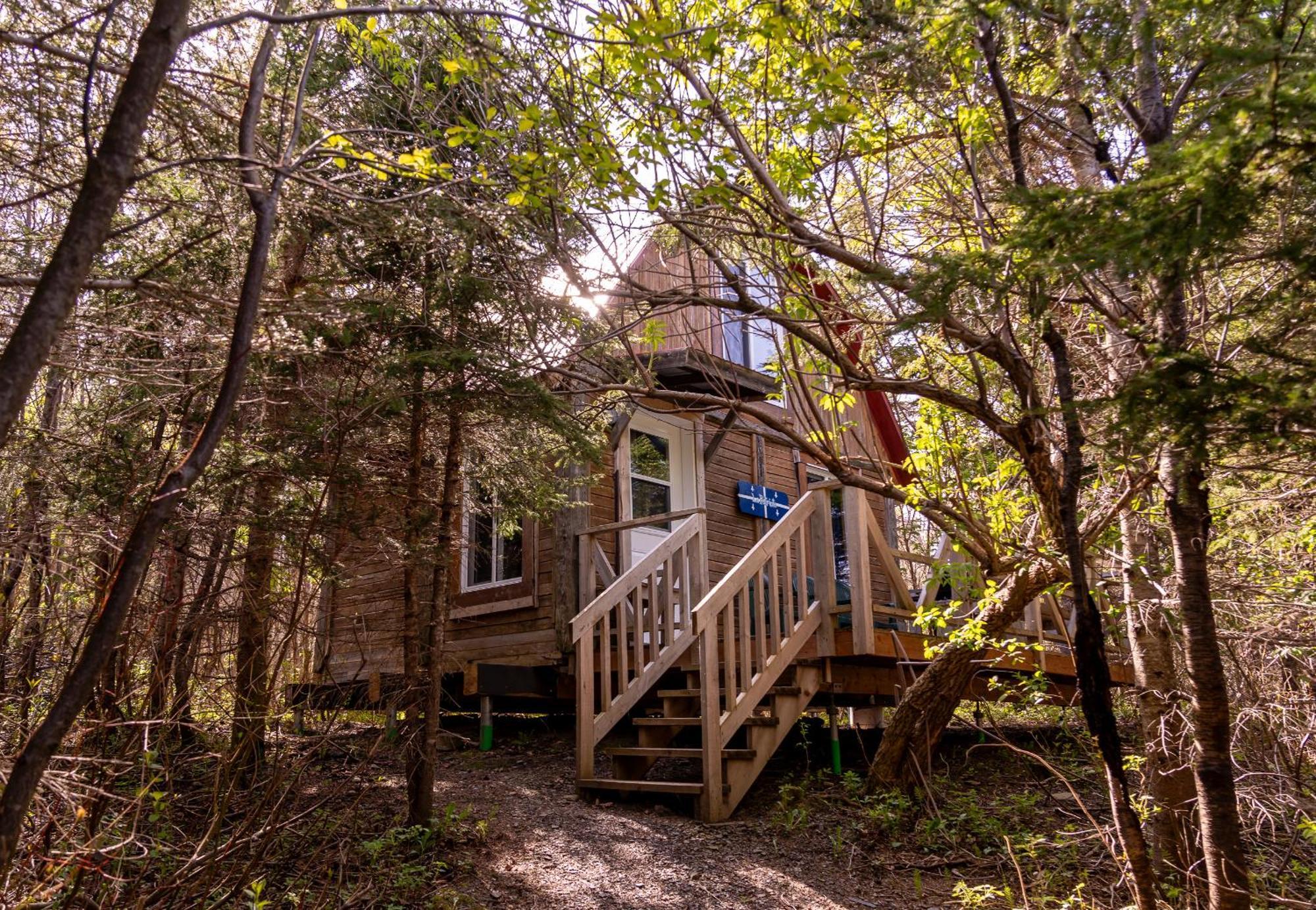 Auberge/chalet Griffon Aventure Hostel L'Anse-au-Griffon